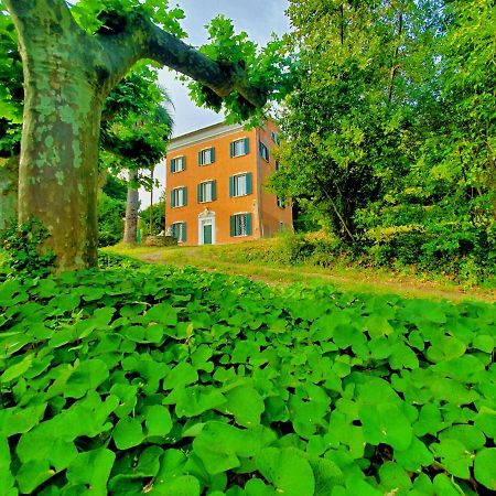 Villa De Benedetti 萨尔扎纳 外观 照片