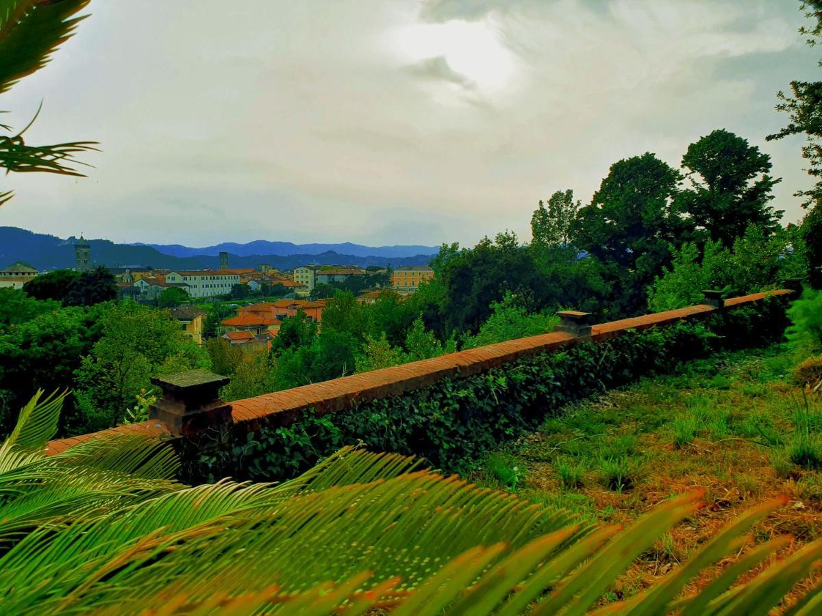 Villa De Benedetti 萨尔扎纳 外观 照片
