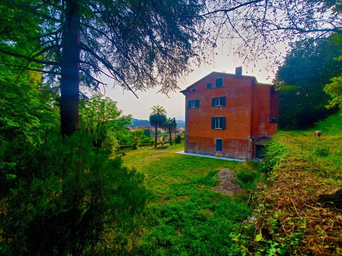 Villa De Benedetti 萨尔扎纳 外观 照片