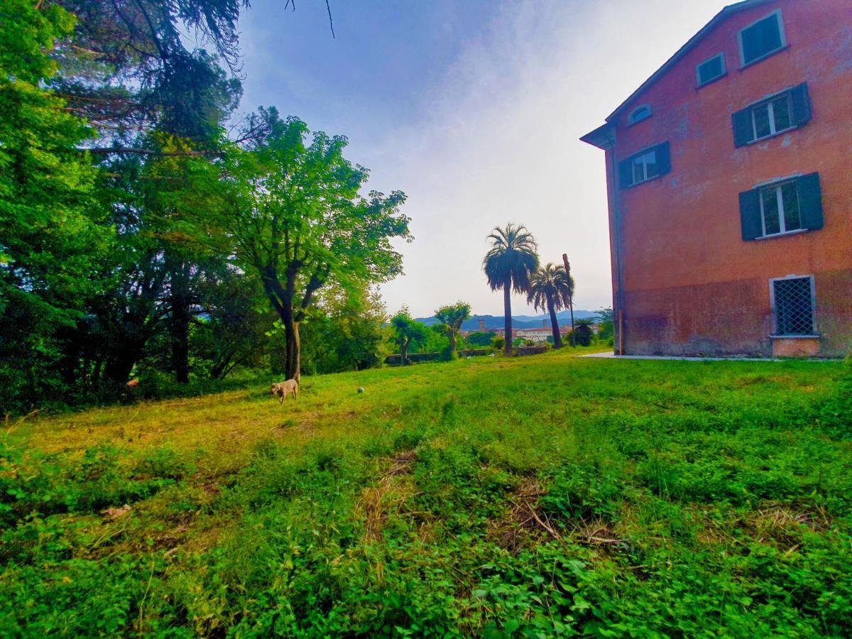 Villa De Benedetti 萨尔扎纳 外观 照片